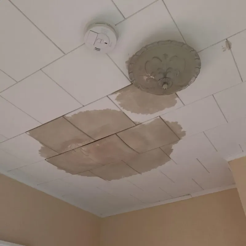 Ceiling Water Damage Repair in Bishopville, SC
