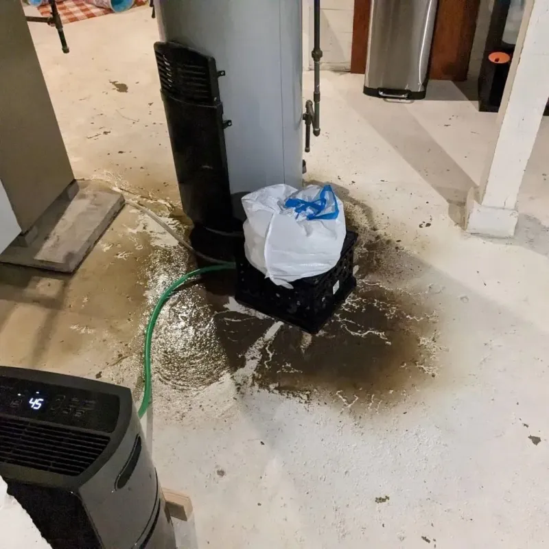 Sewage Backup Cleanup Service in Bishopville, SC